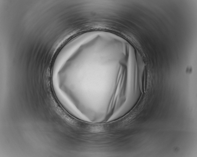 X0000115080798200911171152