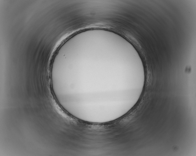 X0000115080800200911171152