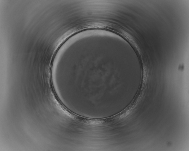 X0000115080802200911171152