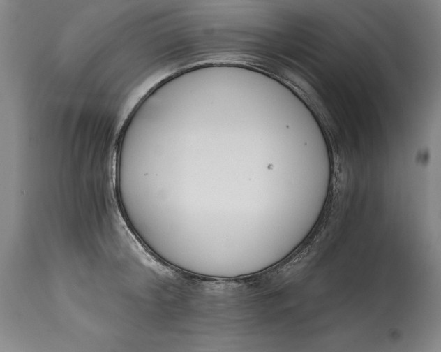 X0000115080804200911171152