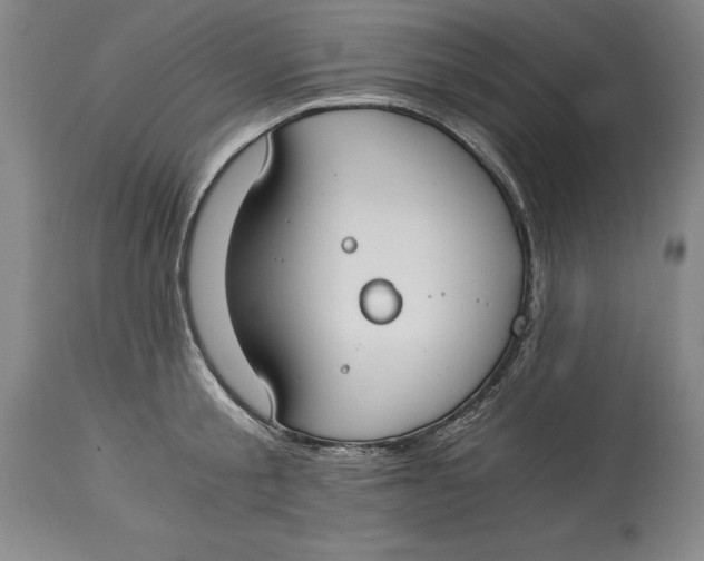 X0000115080805200911171152