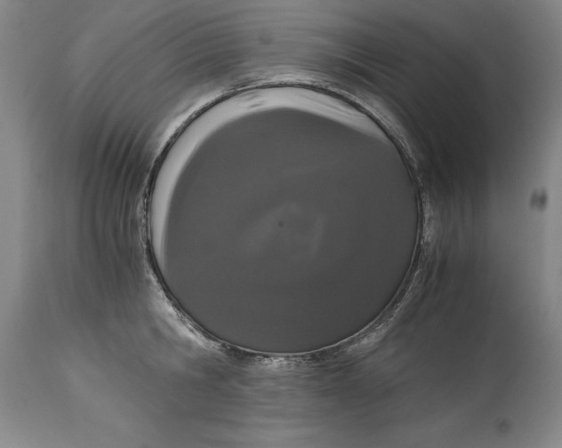 X0000115080806200911171152