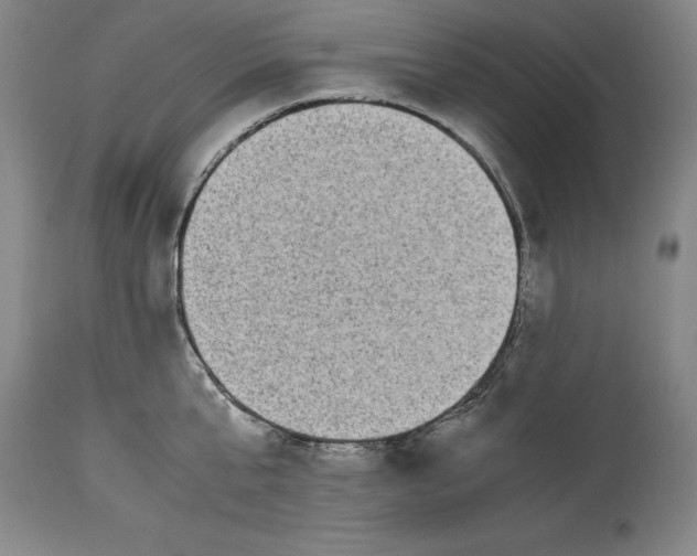X0000115080807200911171152