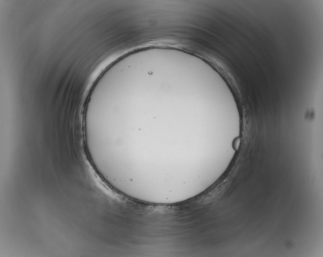 X0000115080808200911171152
