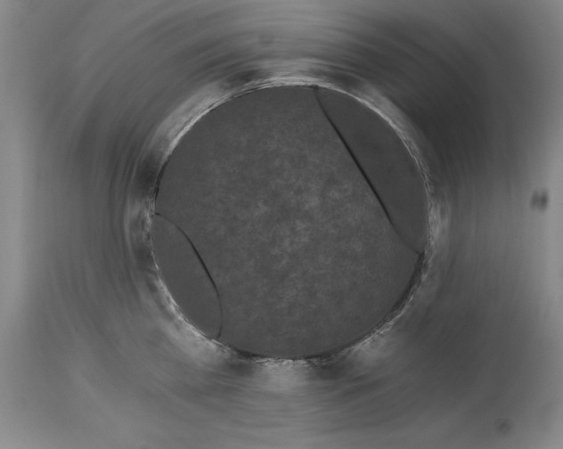 X0000115080809200911171152