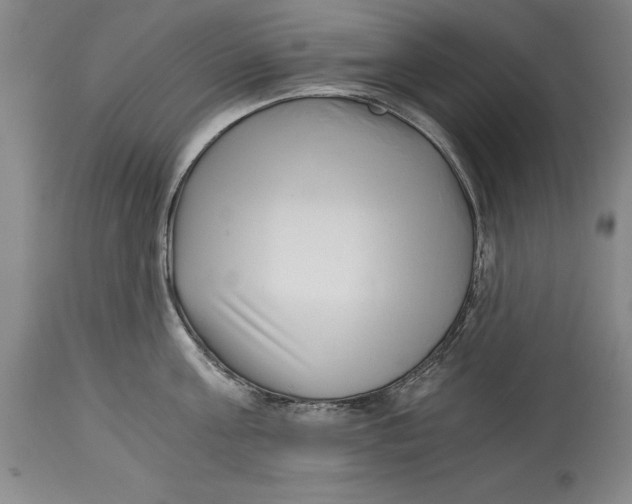 X0000115080811200911171152