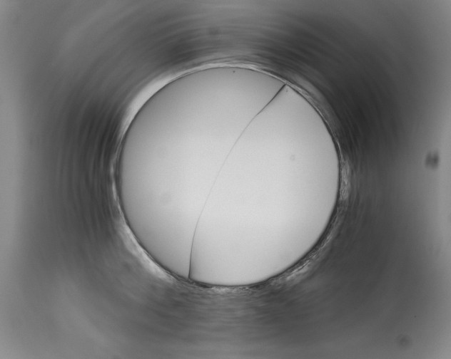 X0000115080812200911171152