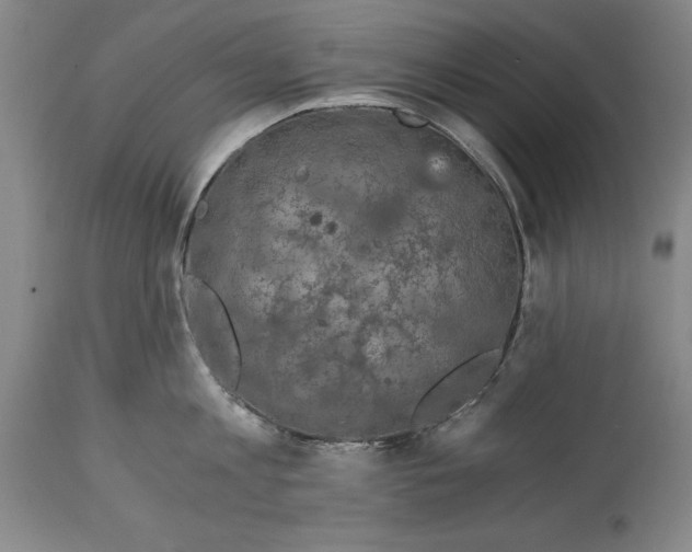 X0000115080813200911171152
