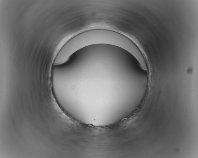 X0000115080815200911171152