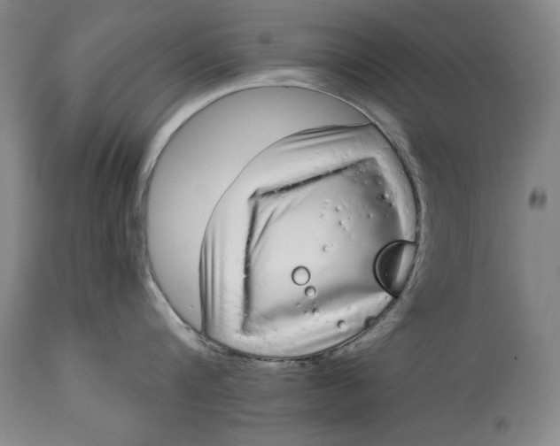 X0000115080816200911171152