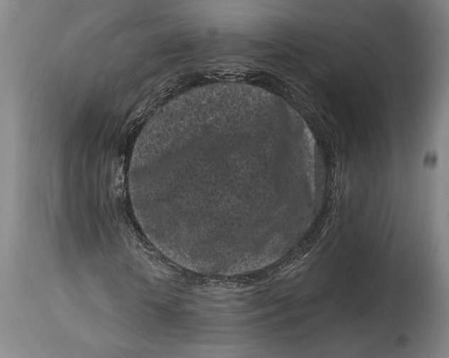 X0000115080818200911171151