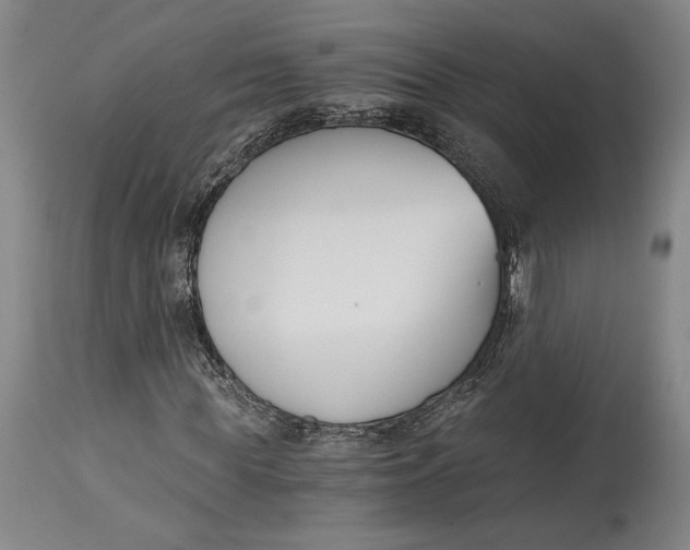 X0000115080819200911171151