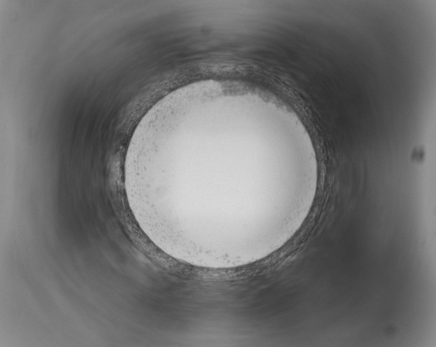 X0000115080820200911171151