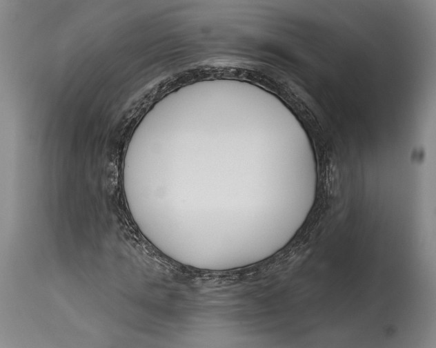 X0000115080821200911171151