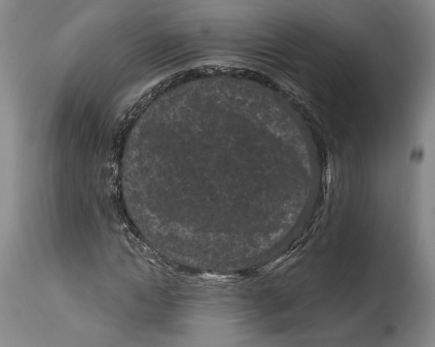 X0000115080822200911171151