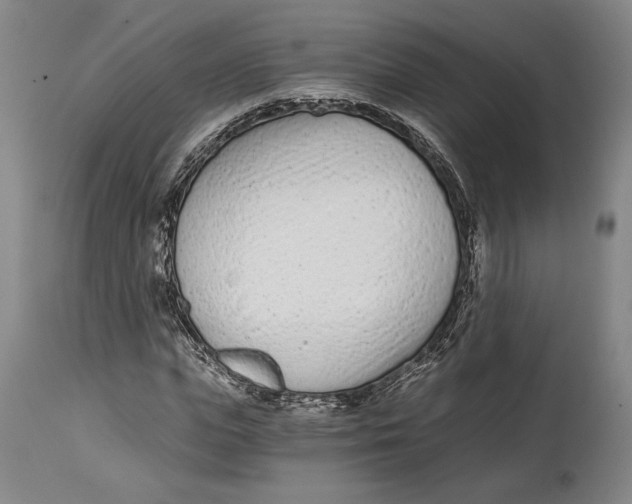 X0000115080823200911171151