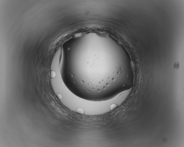 X0000115080824200911171151
