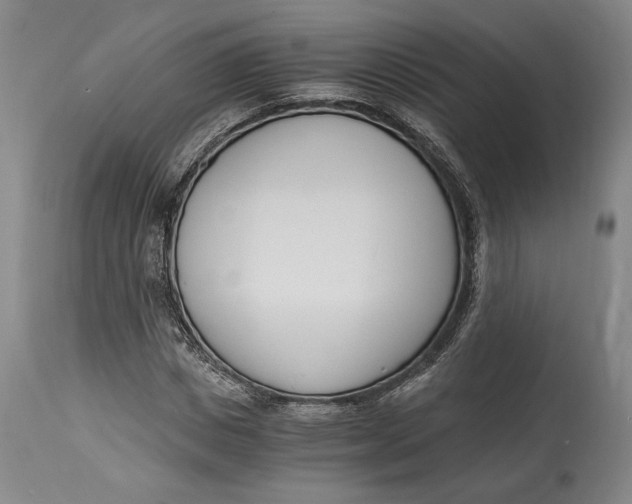 X0000115080825200911171151