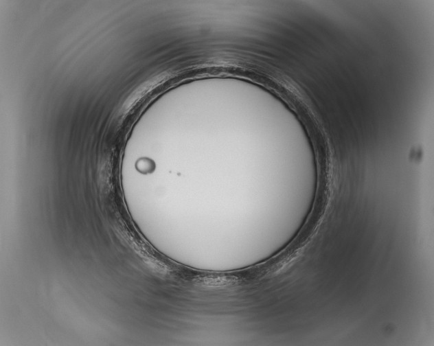 X0000115080826200911171151