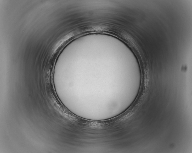 X0000115080827200911171151