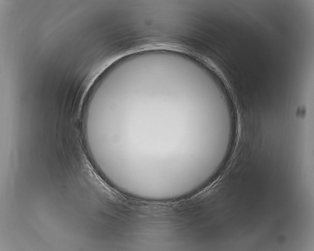 X0000115080828200911171151