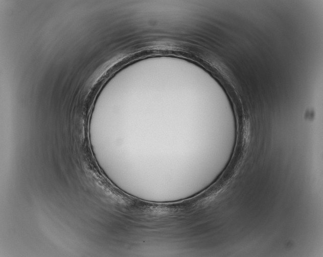 X0000115080829200911171151