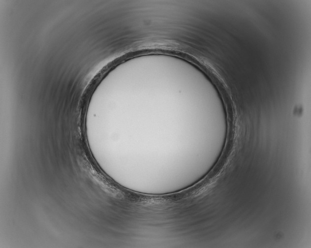 X0000115080830200911171151