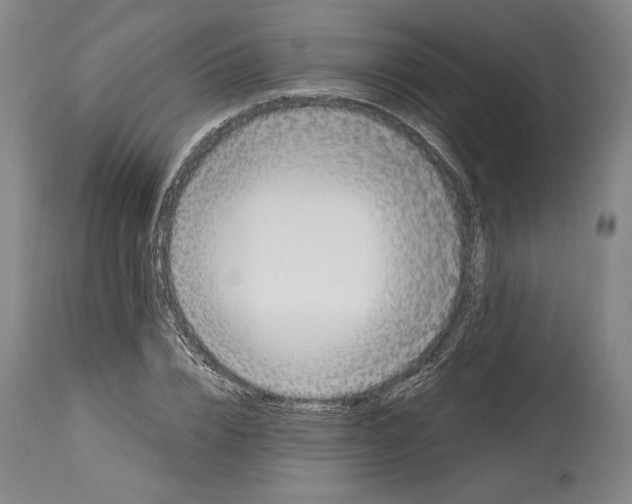 X0000115080832200911171152