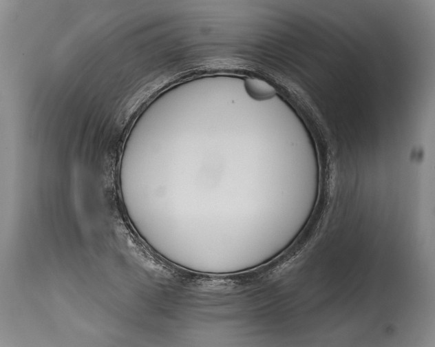 X0000115080833200911171152