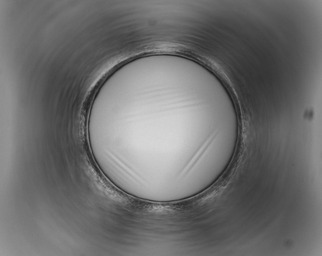 X0000115080835200911171152