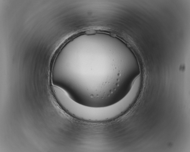 X0000115080836200911171152