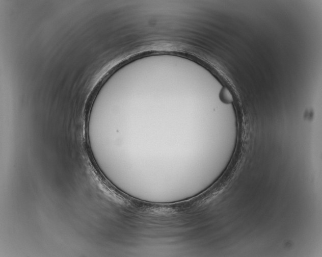 X0000115080837200911171152