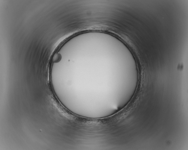 X0000115080838200911171152
