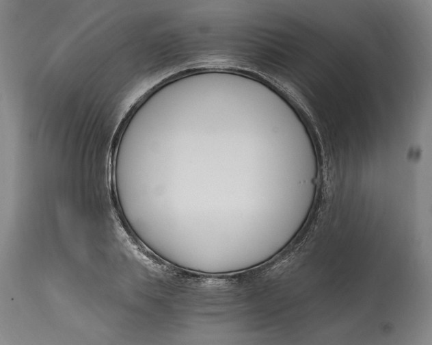 X0000115080839200911171152