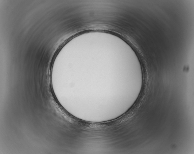 X0000115080840200911171152