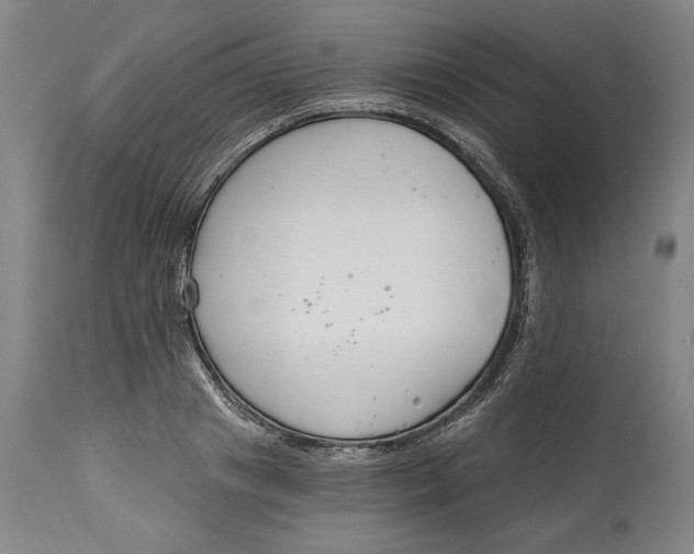 X0000115080841200911171152