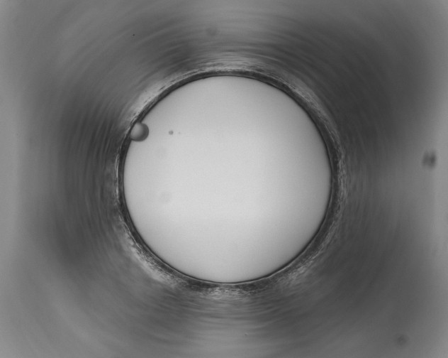 X0000115080842200911171152