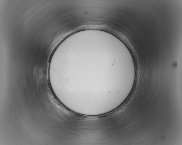 X0000115080844200911171152
