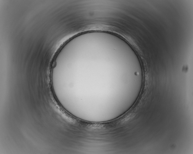 X0000115080846200911171152