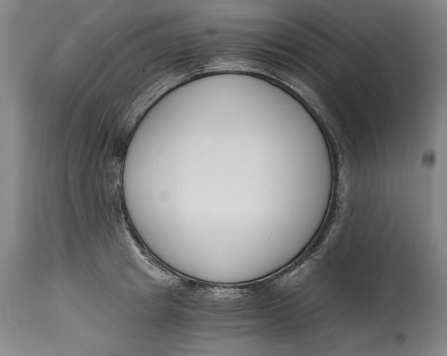 X0000115080849200911171152