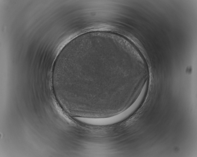 X0000115080850200911171152