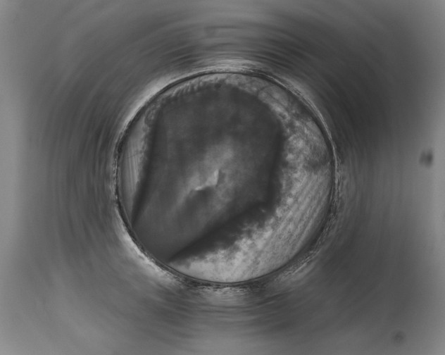 X0000115080851200911171152