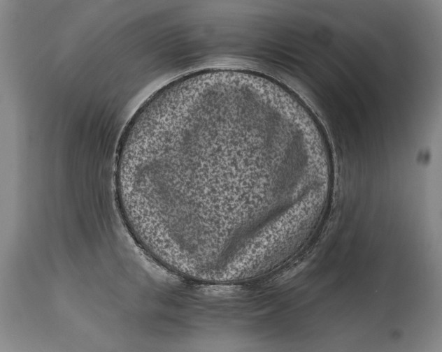 X0000115080853200911171152
