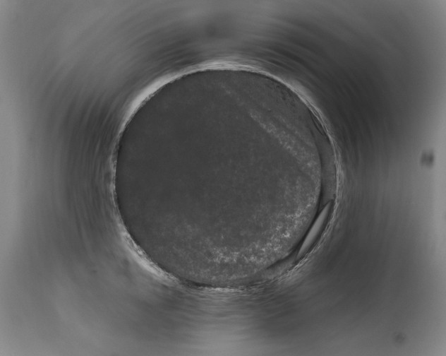 X0000115080854200911171152