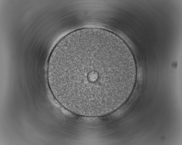 X0000115080856200911171152