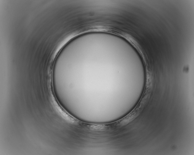 X0000115080859200911171152