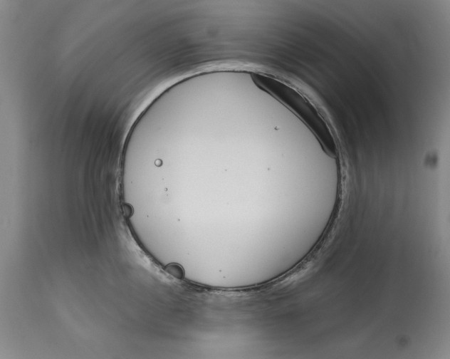 X0000115080860200911171152