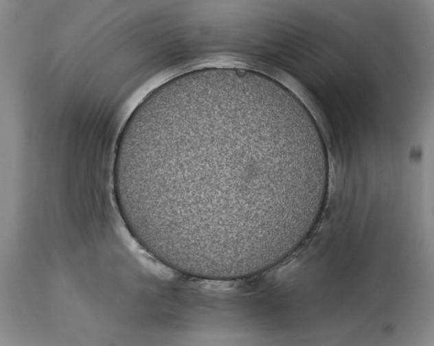 X0000115080861200911171152