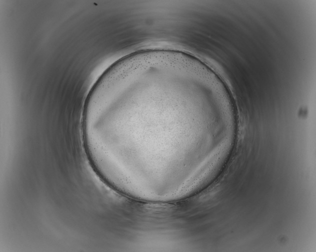 X0000115080863200911171152