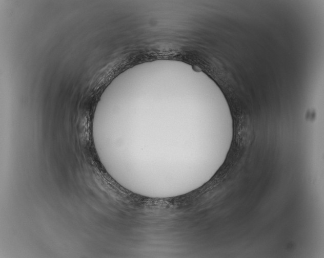 X0000115080866200911171151